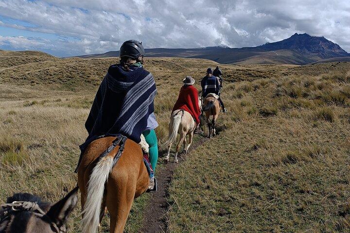 Cotopaxi volcano horseback ride and hike Private tour