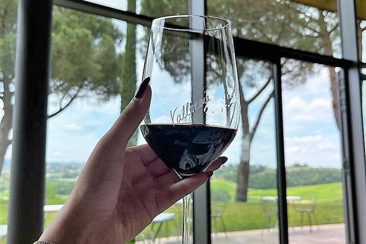 Private Montepulciano Wine Experience with Lunch in Local Setting