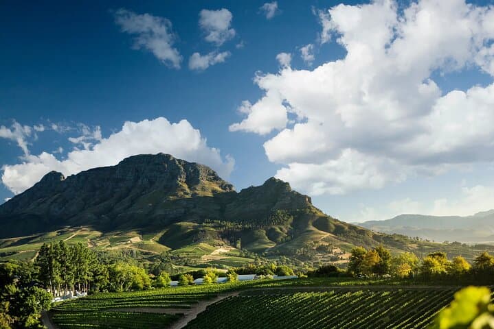 3 Wineries Private Tour in Stellenbosch, Paarl Tasting Included