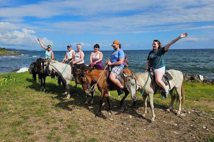 Ultimate Combo Mangrove tour,Horseback Riding, Snorkeling & beach