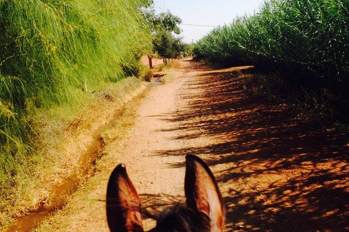 A Day on Horseback in the Countryside with Lunch at the Farm