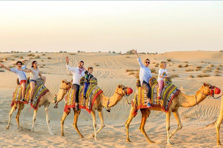 Private Morning Desert Safari Tour