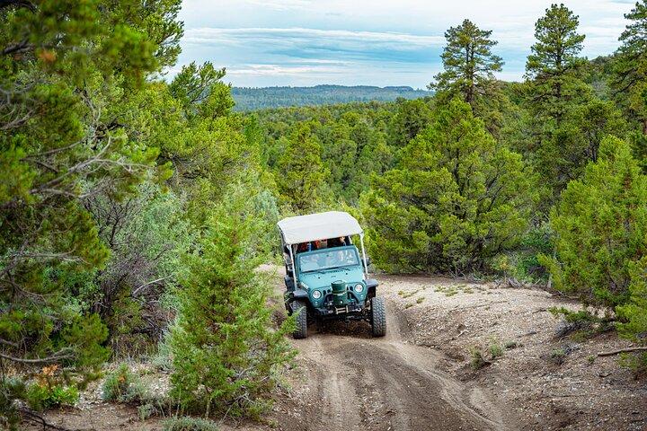Zion Sunset Jeep Tour