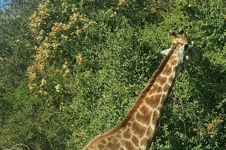 Garden Route Experience