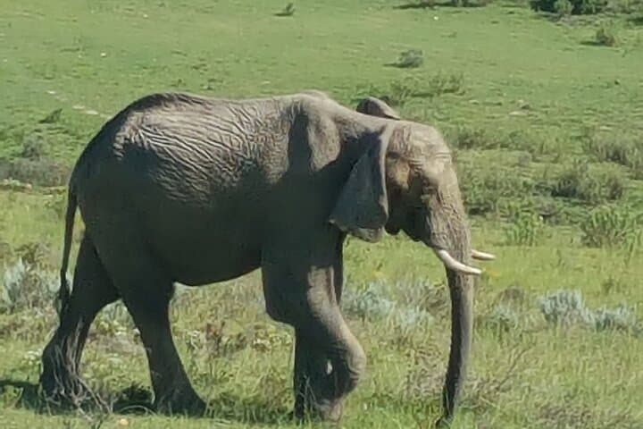 Garden Route Experience
