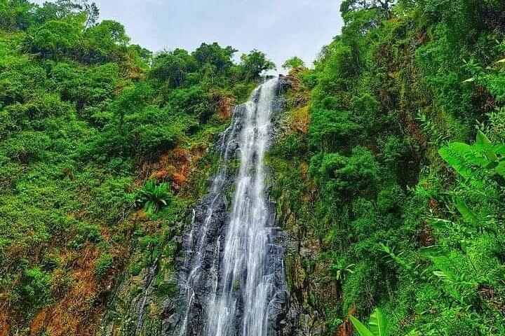 Full day in materuni waterfall and coffee tour with local food