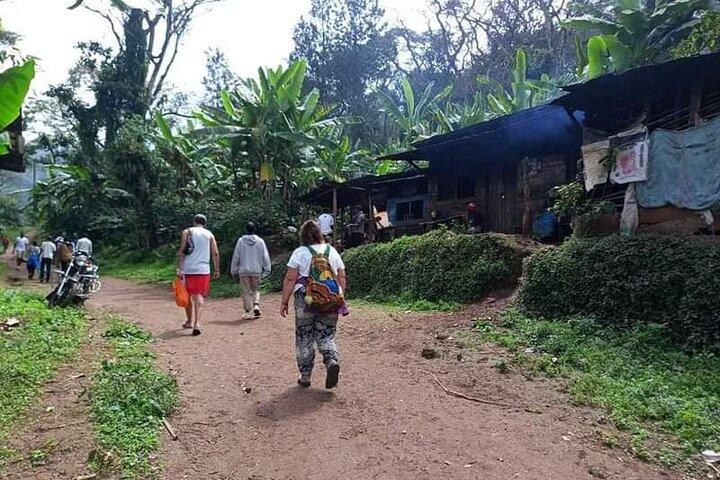 Full day in materuni waterfall and coffee tour with local food