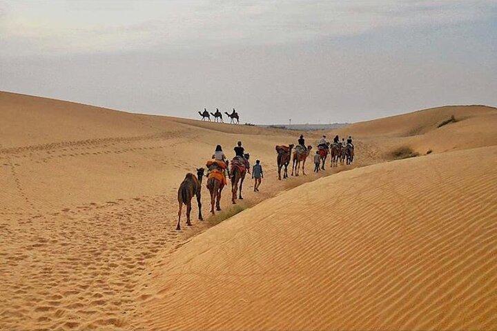 Half Day Sunset Camel Safari Jaisalmer