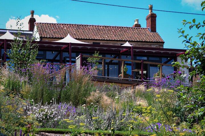 Wine & Cheese in the Somerset Valleys - with Michelin-star lunch!