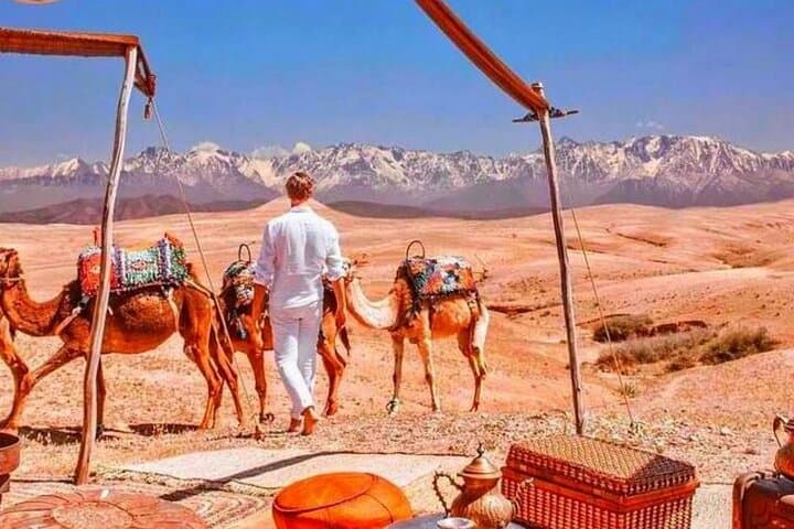 Magical Dinner show and Quad bike In Agafay Desert Marrakech