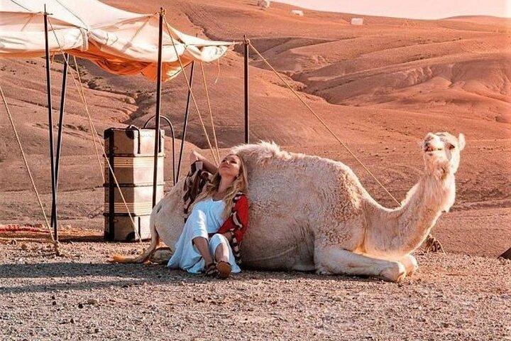 Desret Agafay and Atlas Mountains & Camel ride Day Trip From Marrakech