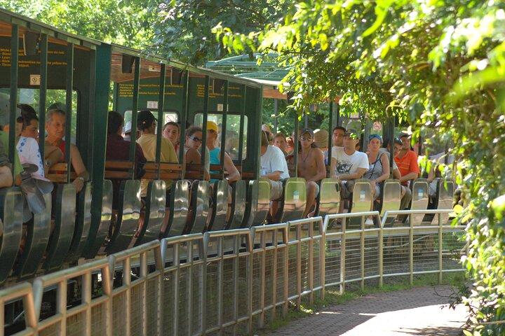 Iguazu Falls Saver Package! Both sides excursions & transfers