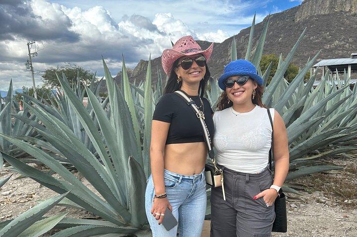 Small Group Boerve del Agua and Mezcal Tour from Oaxaca Centro