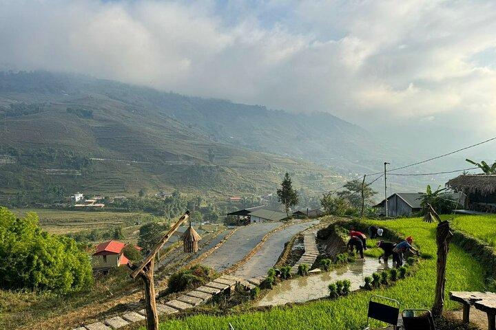 From Ha Noi: 3 Days and 2 Nights Sapa Trek with Local Guide