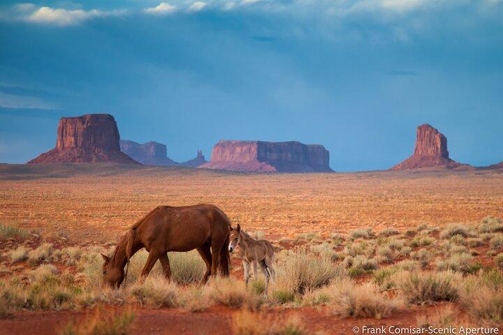 3.5 Hour Private Monument Valley Tour