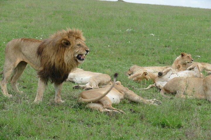 3 Days Serengeti National Park