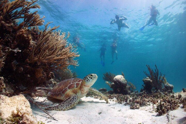 Tour to Tulum and cenote with swimming with turtles from Riviera Maya