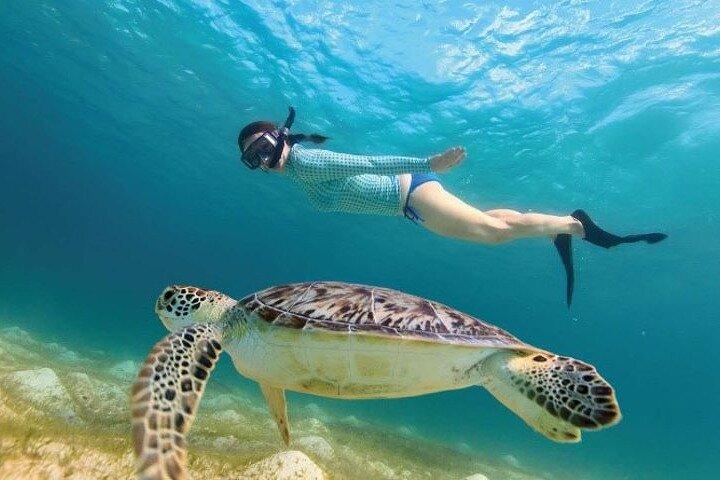 Tour to Tulum and cenote with swimming with turtles from Riviera Maya