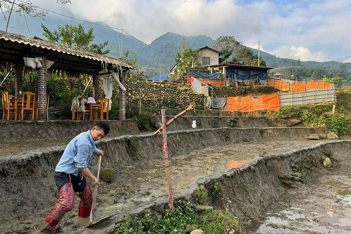 From Ha Noi: 3 Days and 2 Nights Sapa Trek with Local Guide