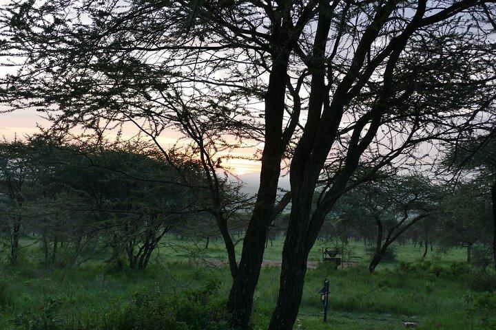 5 Days in to the heart of serengeti