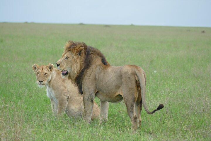 5 Days in to the heart of serengeti