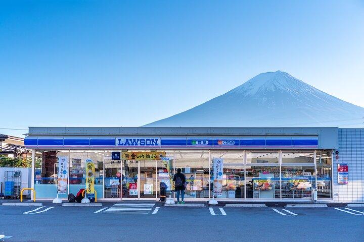 Mt Fuji/Hakone/Yokohama Tokyo customize Private Tour
