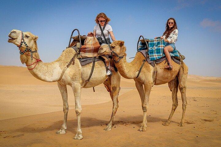 Dubai Morning Desert Safari Lahbab – Private 4x4, Sandboarding