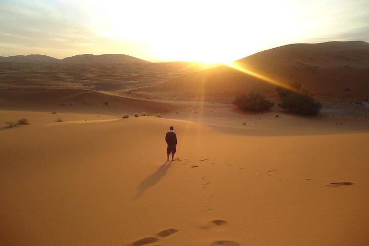 Dubai Morning Desert Safari Lahbab – Private 4x4, Sandboarding