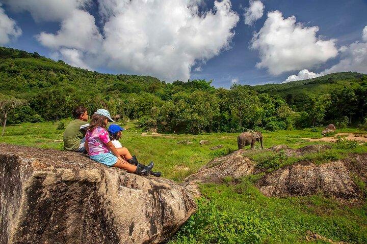 2 Hours Phuket Ethical Elephant Nature Park Visit