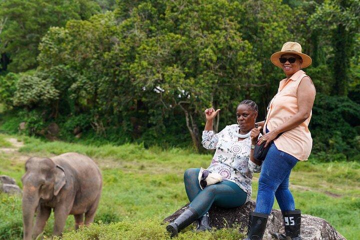 2 Hours Phuket Ethical Elephant Nature Park Visit