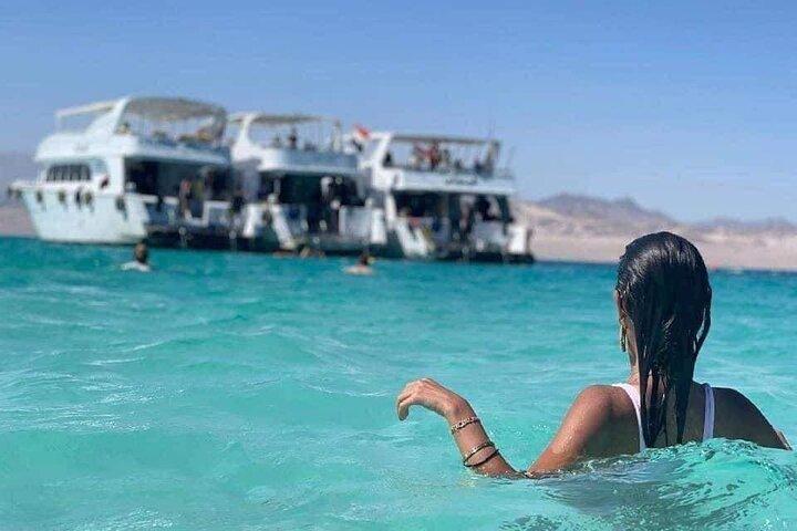 Sharm El-Sheikh: Ras Mohamed & White Island Snorkeling Trip