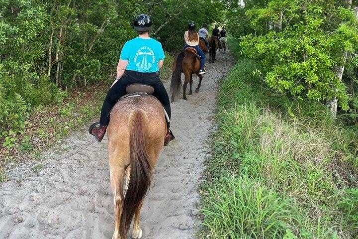 Horseback Ride on Scenic Lake Louisa Trails