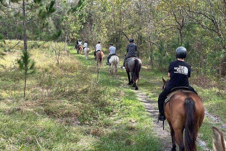 Horseback Ride on Scenic Lake Louisa Trails