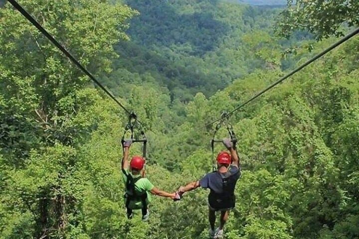 Day Trip to Kereita Forest and Ziplining