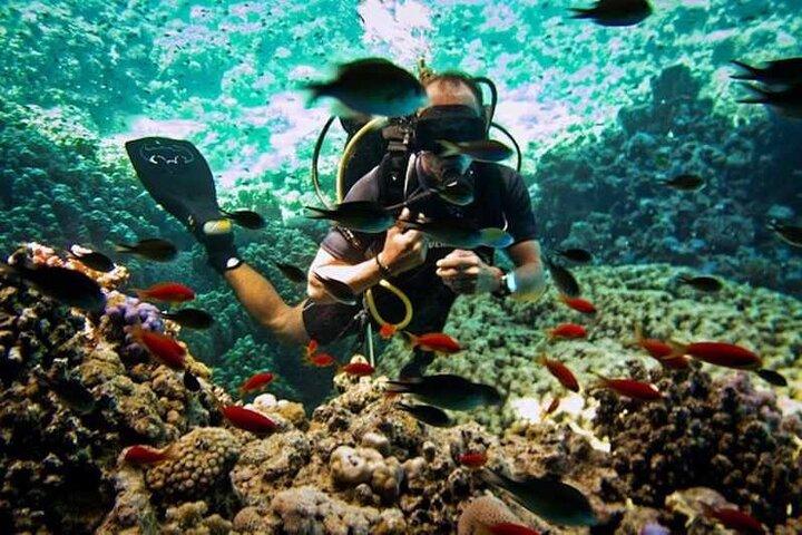 Sharm El-Sheikh: Ras Muhammed & White Island By Boat & intro Dive