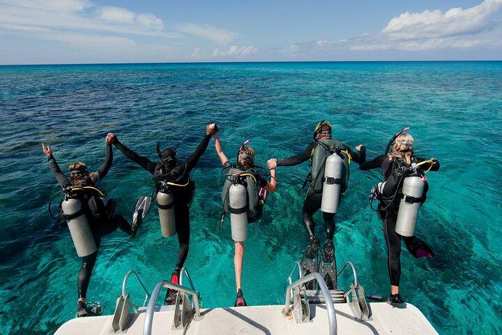 Sharm El-Sheikh: Ras Muhammed & White Island By Boat & intro Dive