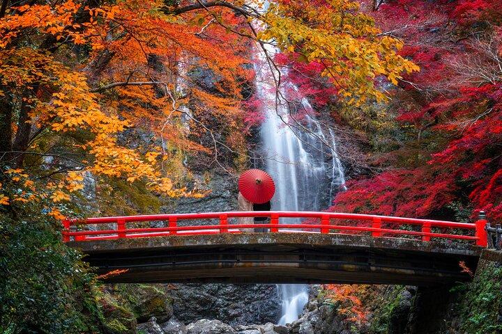Osaka Private Customizable Half Day Tour