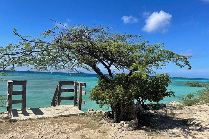 Private VIP Tours in Aruba