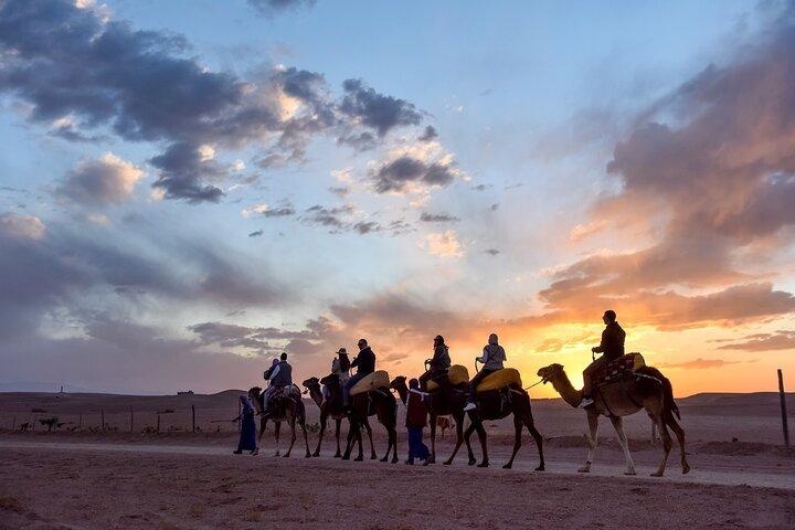 Quad and Camel Ride in the Agafay Desert with Swimming Pool
