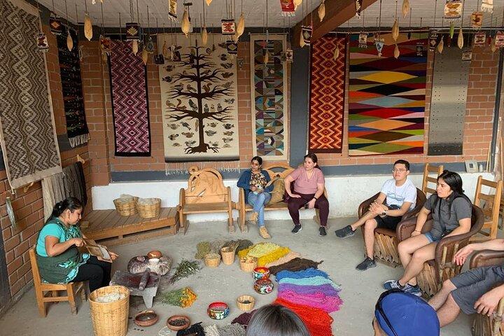Tule, Mitla & Hierve el Agua Full-Day Tour with Certified Guide