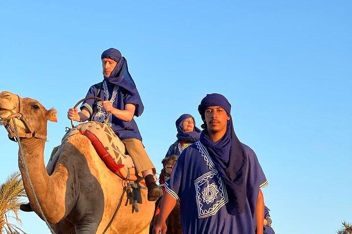 Camel in Marrakech at sunset