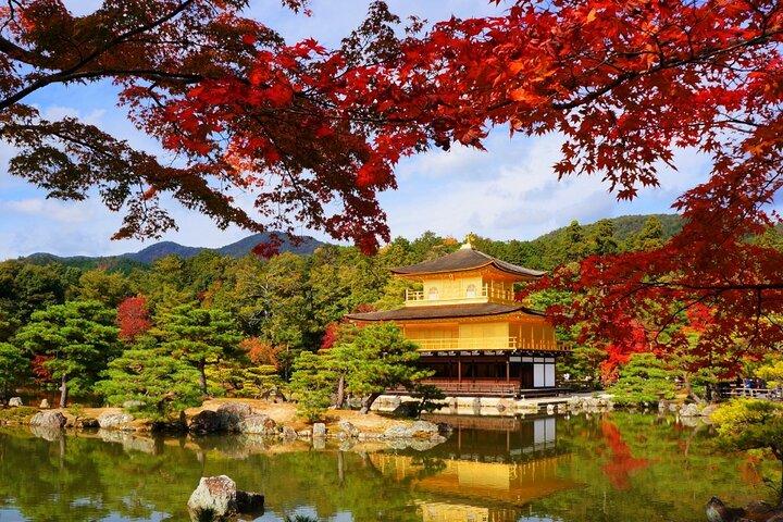 Private Day Tour in Osaka and Kyoto with charter car