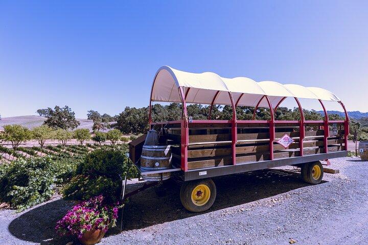 3-Winery Paso Robles Tour with Picnic Lunch from Paso Robles