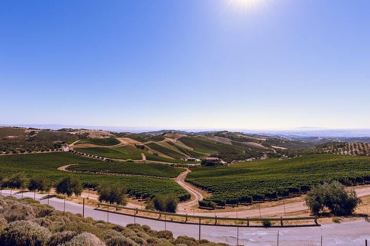3-Winery Paso Robles Tour with Picnic Lunch from Paso Robles
