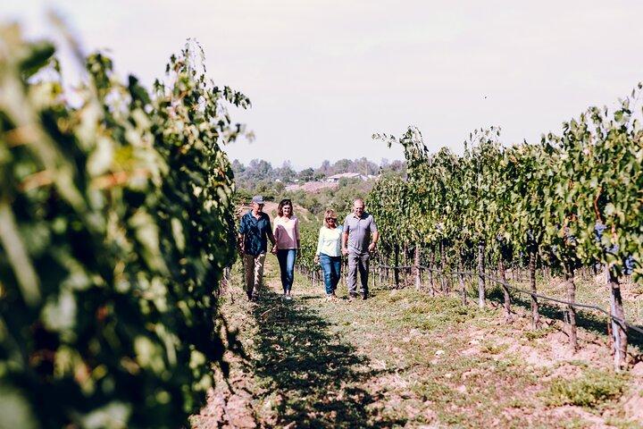 3-Winery Paso Robles Tour with Picnic Lunch from Paso Robles