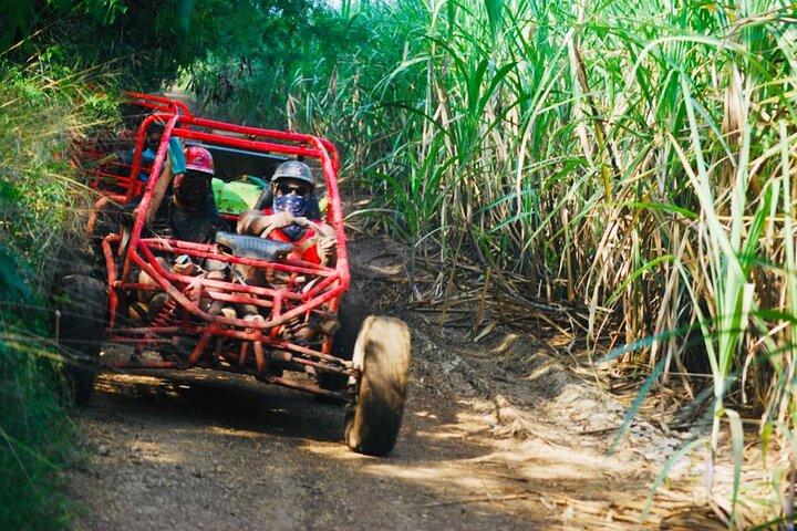 Half-Day ATV or Buggy 4X4 from Bayahibe - La Romana