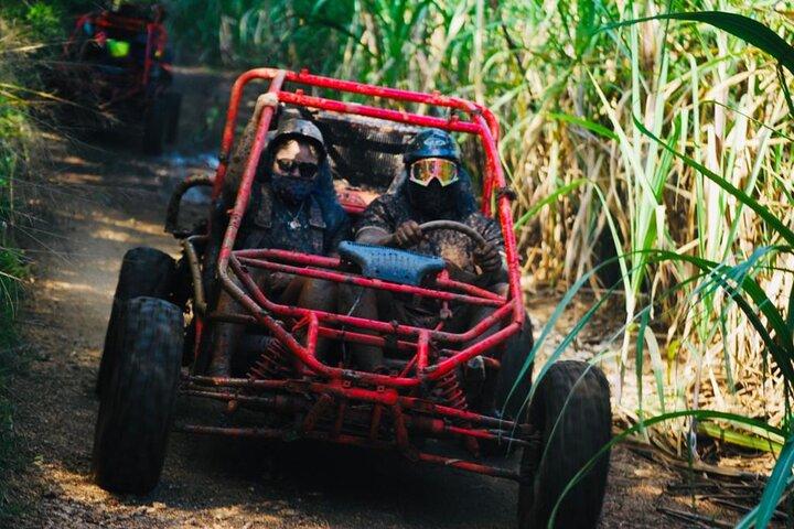 Half-Day ATV or Buggy 4X4 from Bayahibe - La Romana
