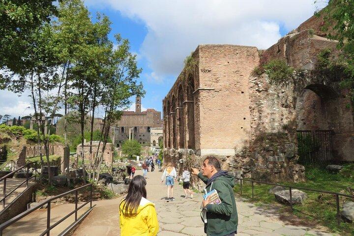 Private tour: Colosseum, Roman Forum, Palatine Hill - VIP Service
