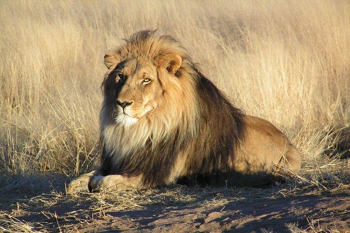 7 Days Safari Tour to Northern Tanzania National Parks