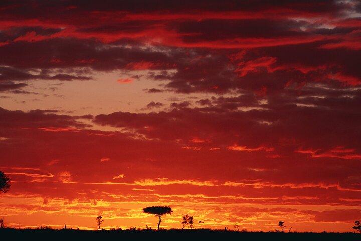 3 Days and 2 Nights Adventure in Masai Mara